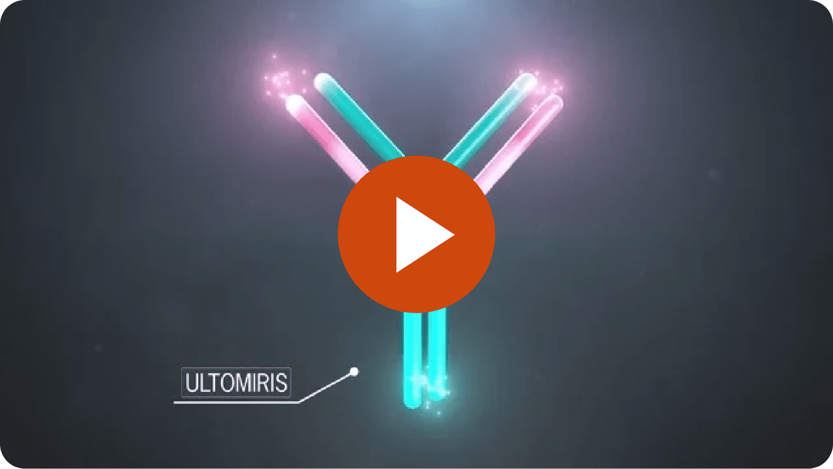 Watch a video on the ULTOMIRIS Mechanism of Action