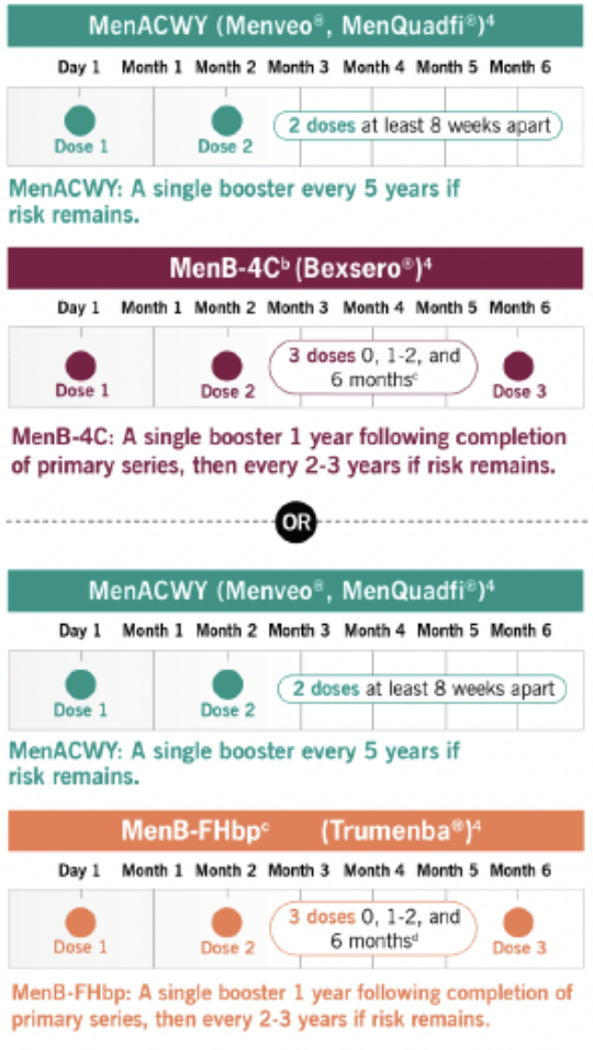 Dosing schedules of meningococcal vaccines (MenACWY with either MenB-4C or MenB-FHbp) for primary and booster vaccination