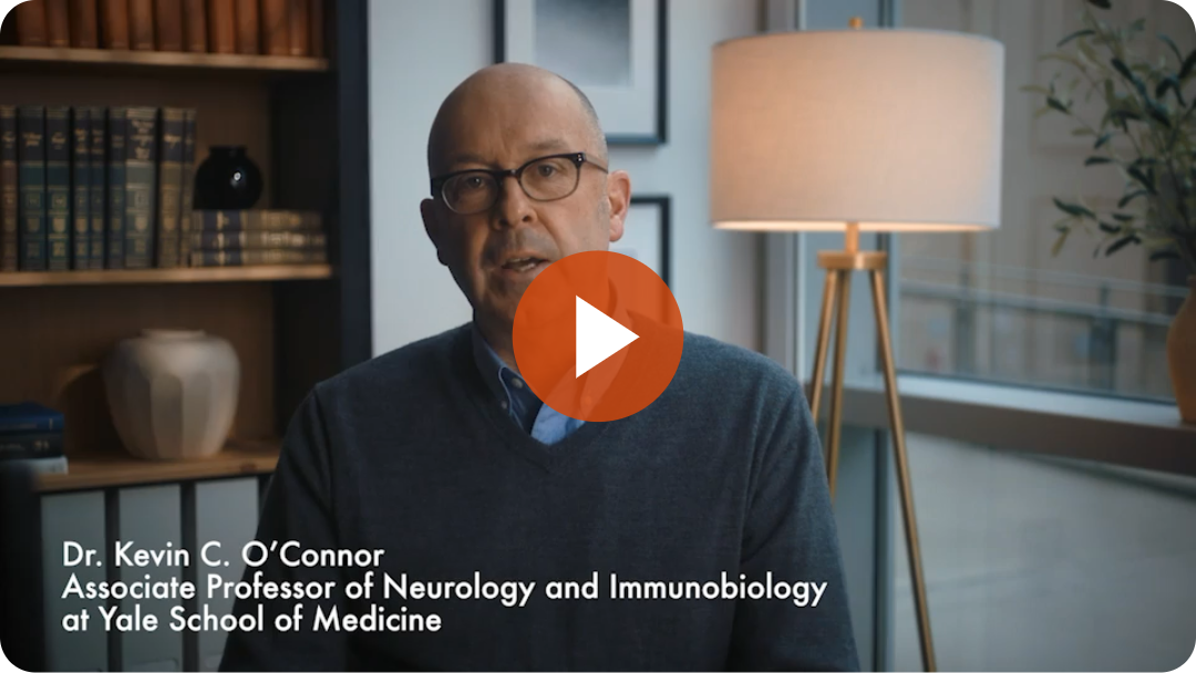 Understanding the role of complement in gMG