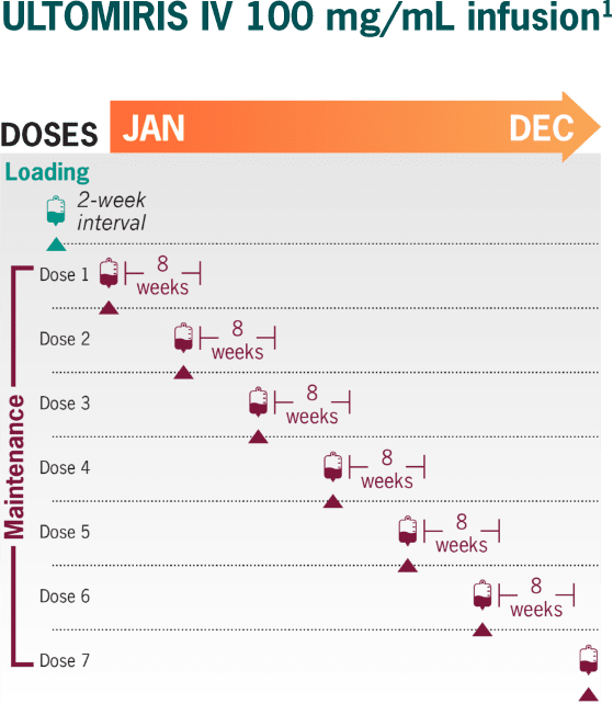 ULTOMIRIS IV 100 mg/mL infusion with weight-based dosing. ULTOMIRIS dosing schedule includes a once-every-8-week maintenance dosing starting 2 weeks after an initial loading dose.